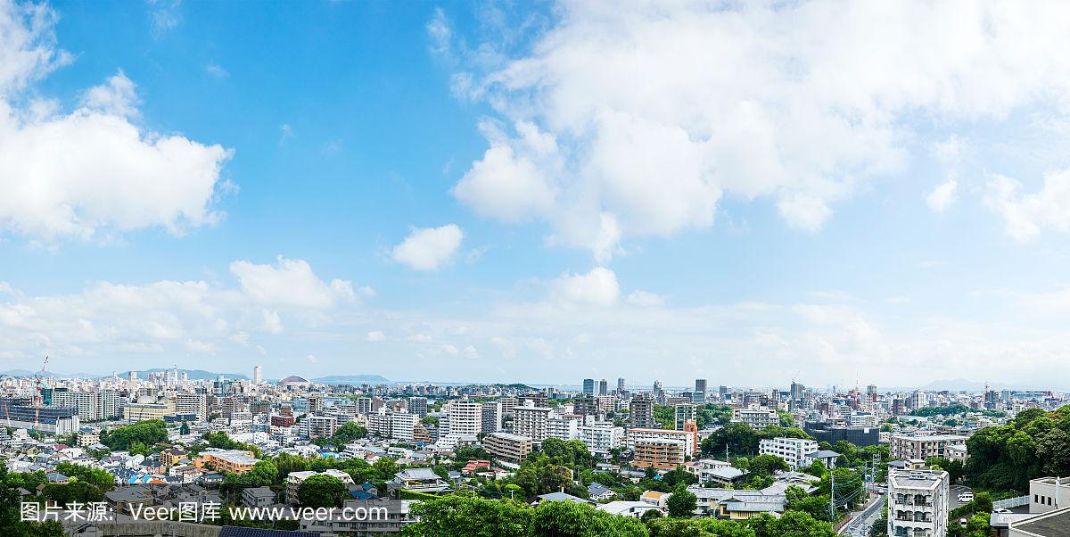 保险小白知识科普：一文读懂意外险，2025年意外险攻略！